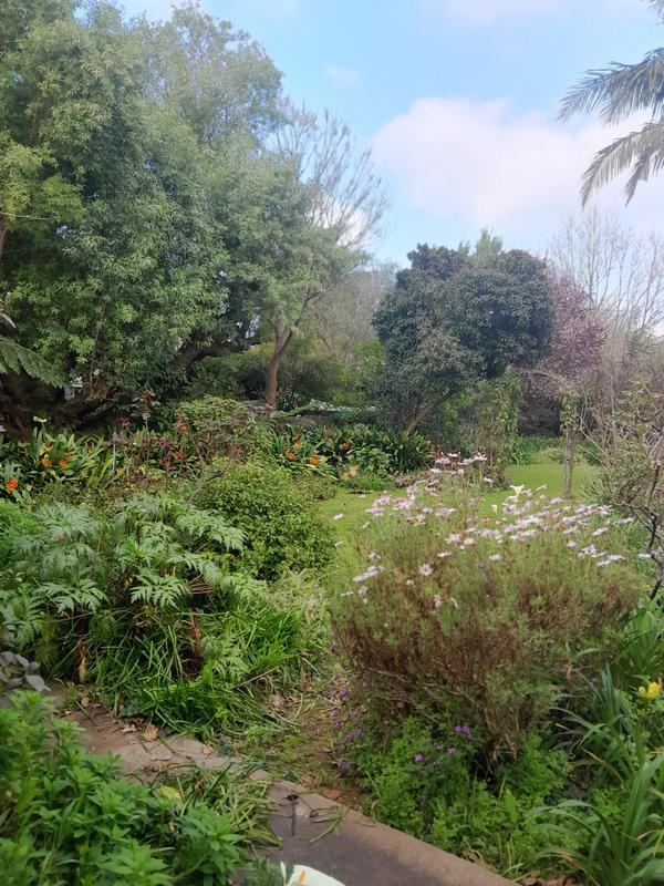 4 Bedroom Property for Sale in Caledon Western Cape